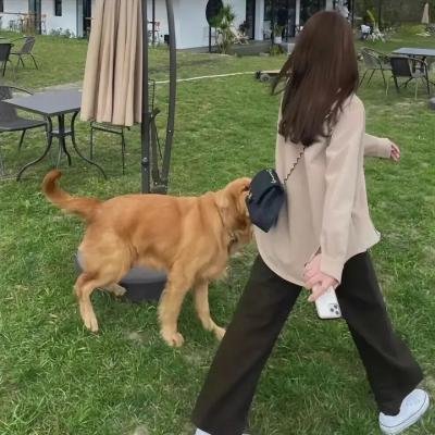 风暴之眼